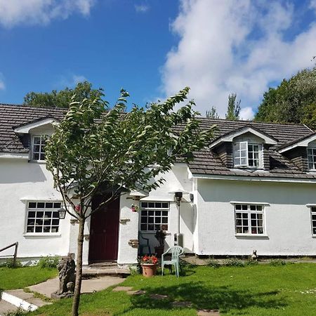 Coynant Farm Guesthouse - Farm Park Stay Swansea Exteriér fotografie