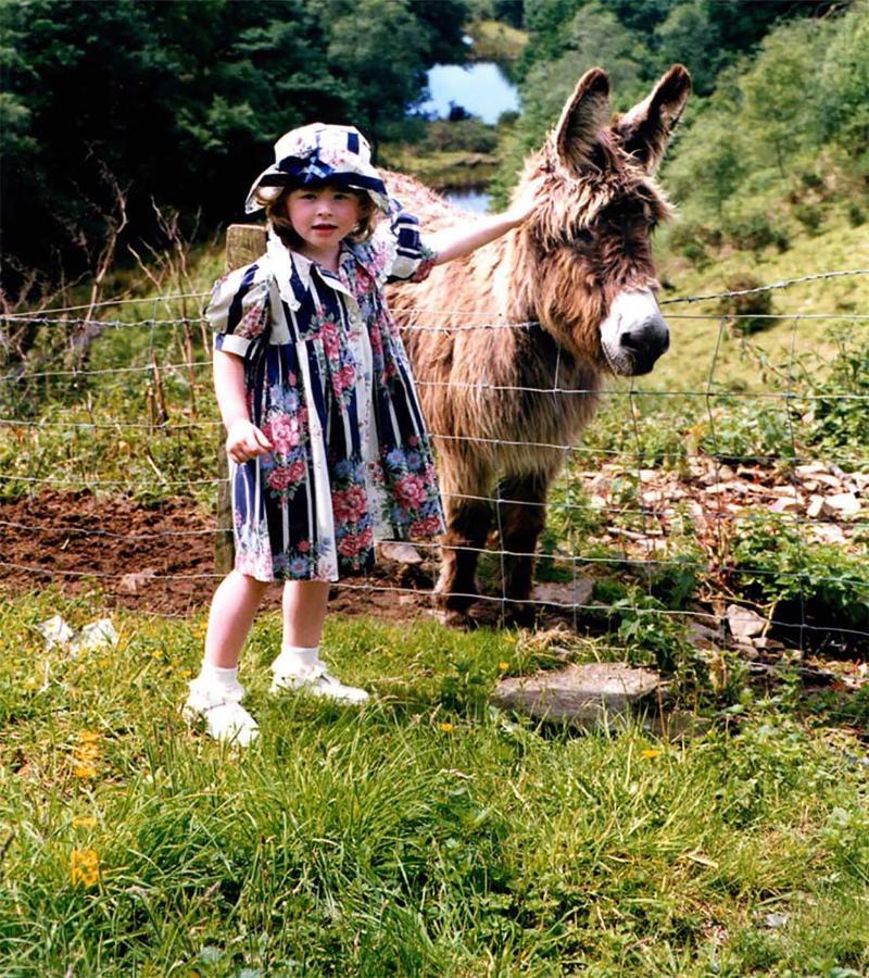 Coynant Farm Guesthouse - Farm Park Stay Swansea Exteriér fotografie