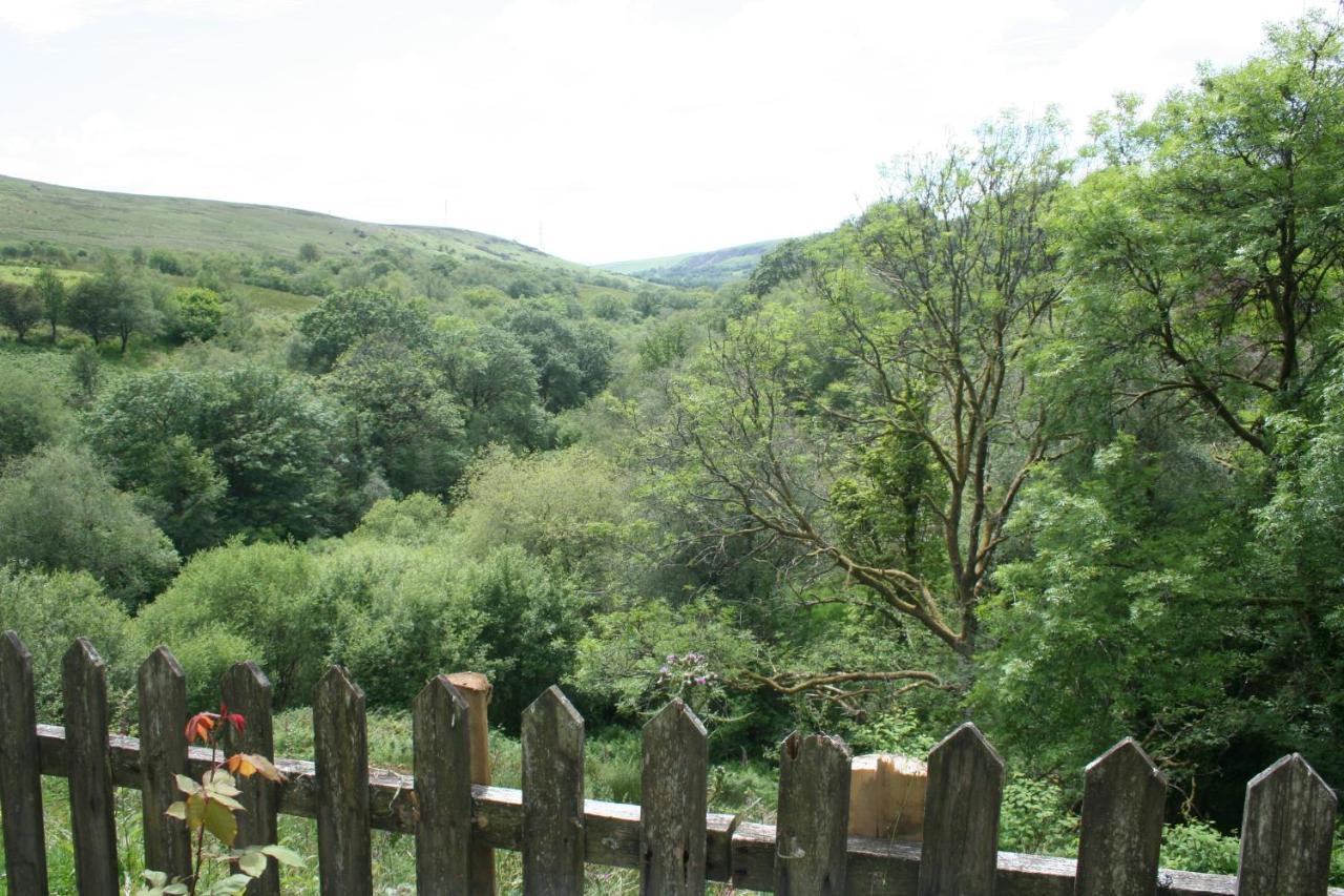 Coynant Farm Guesthouse - Farm Park Stay Swansea Exteriér fotografie