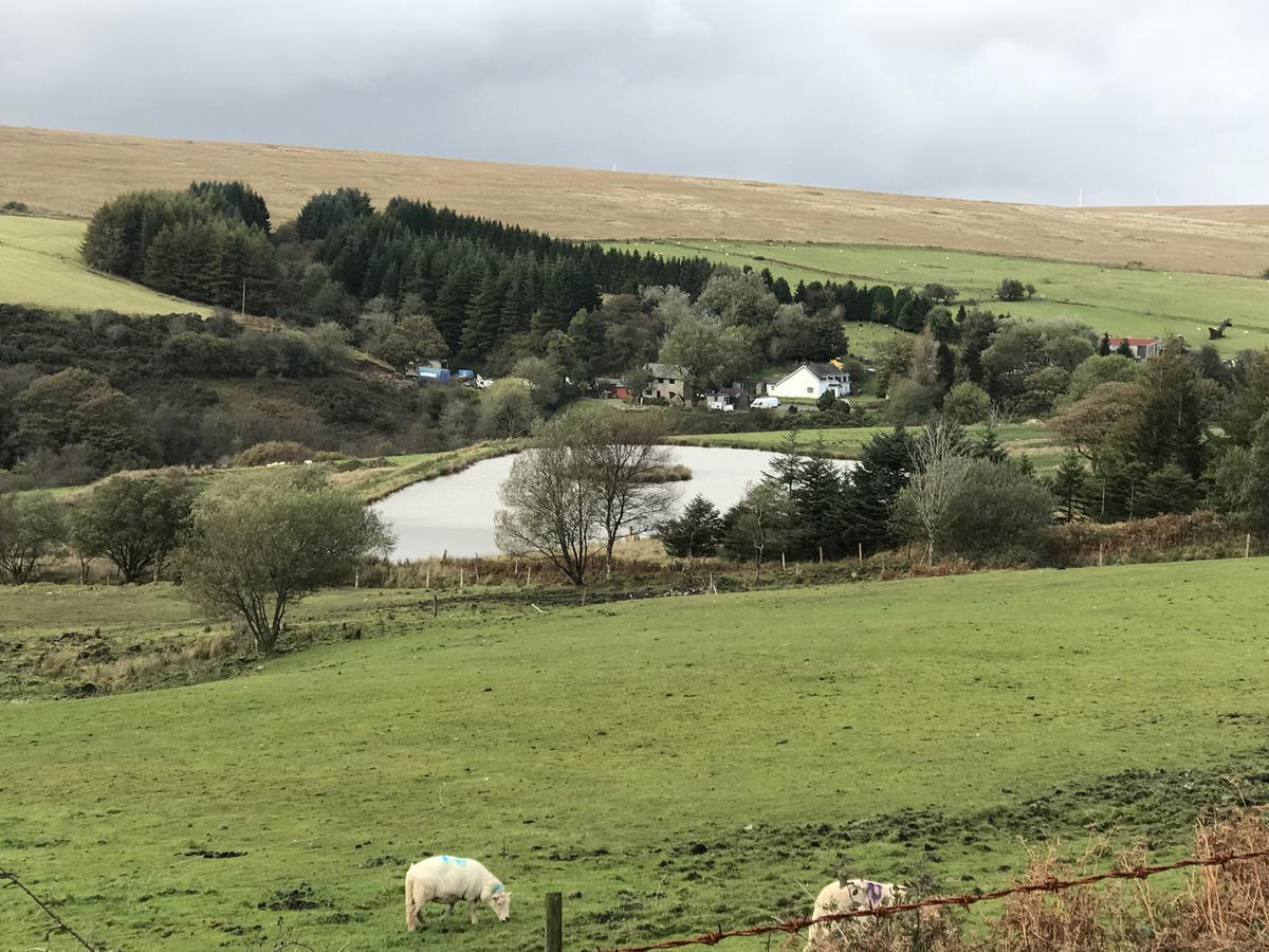 Coynant Farm Guesthouse - Farm Park Stay Swansea Exteriér fotografie