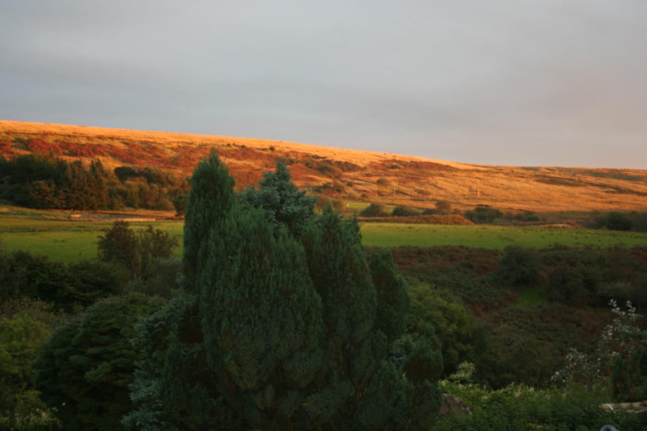 Coynant Farm Guesthouse - Farm Park Stay Swansea Exteriér fotografie