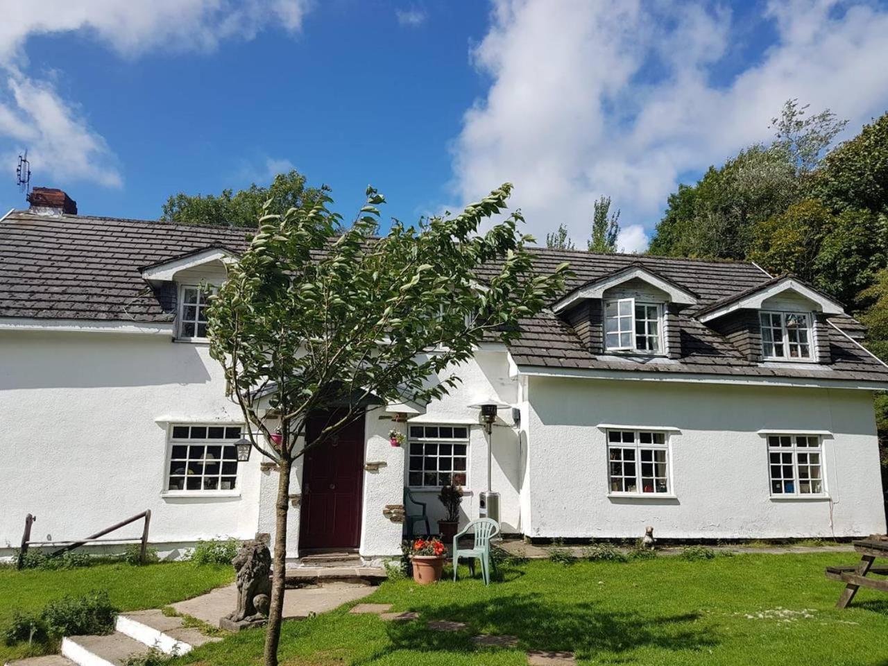 Coynant Farm Guesthouse - Farm Park Stay Swansea Exteriér fotografie